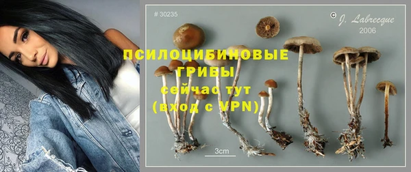МДПВ Балахна