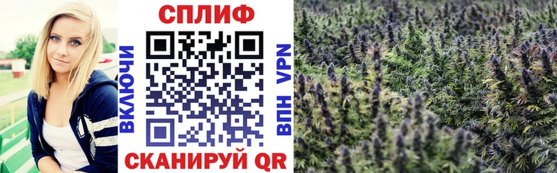 Каннабис OG Kush  OMG онион  Колпашево 